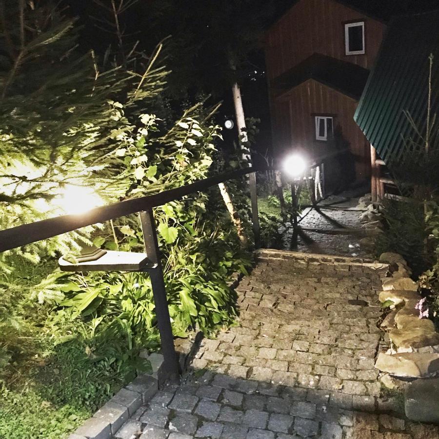 Villa Nagori Slavske Exteriör bild
