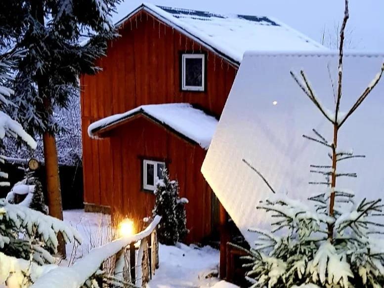 Villa Nagori Slavske Exteriör bild